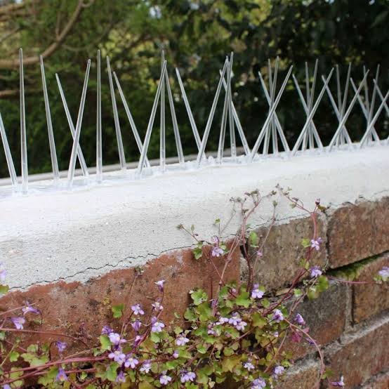 Anti-Bird Spikes completed installation